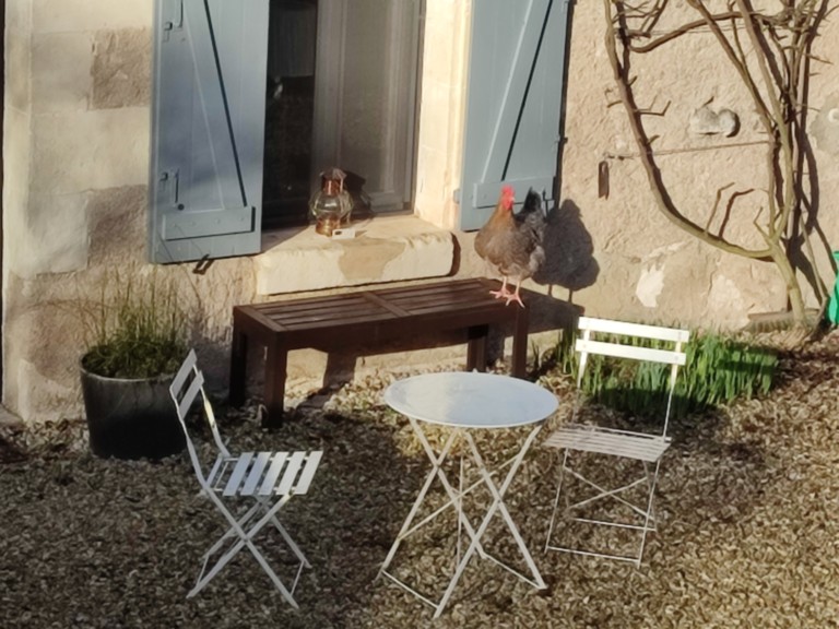 jardin